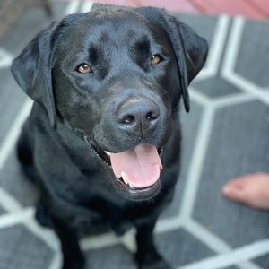 Meet your Posher, Eden